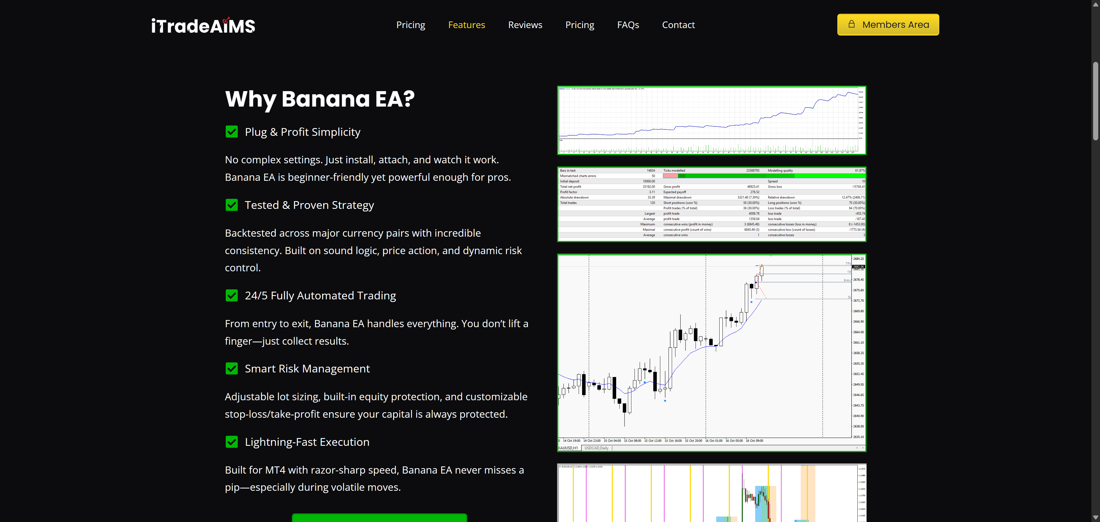 MetaTrader Automation Bots website screenshot